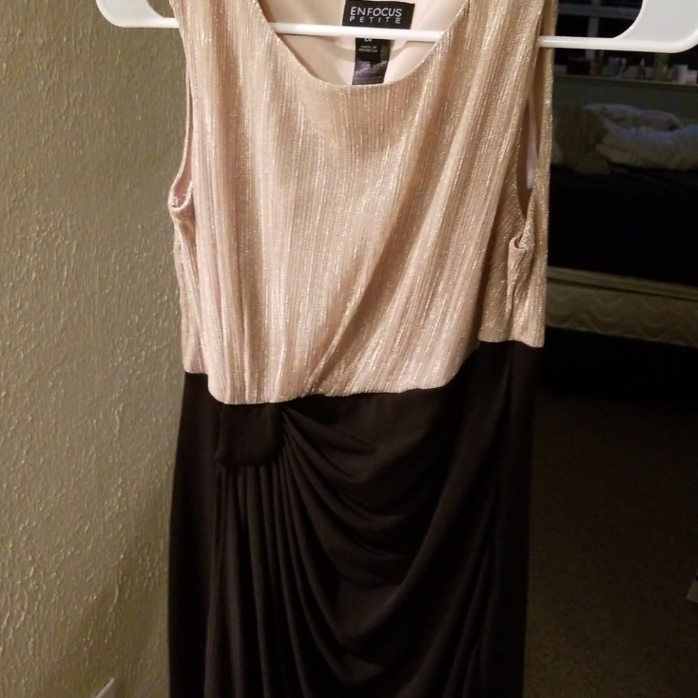 🔷️FINAL PRICE🔷️Champagne and black dress. - Picture 1 of 5